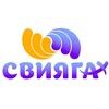 Логотип телеграм канала @dsolsviyaga — ДСОЛ «Свияга »