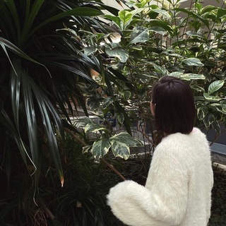 Логотип телеграм канала @dsplrostov — Публичка