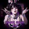 Logo of telegram channel dsvpubg — Dark Side VIP Channel