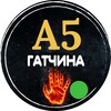 Логотип телеграм канала @dsvvsv — А5 Гатчина