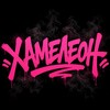 Логотип телеграм канала @dt_xamellion — Дом танца ХАМЕЛЕОН
