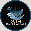 Logo of telegram channel dubaicryptowhaleskols — Dubai Crypto Whales Kols