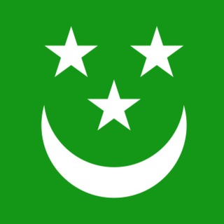 Логотип телеграм канала @dubilet_flags — Прапори з Дмитром Дубілетом