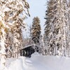 Логотип телеграм канала @dubldom_sheregesh — ДубльДом, Лес и Burunduk