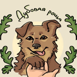 Telegram channel Приют Для Собак 