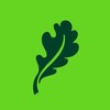 Логотип телеграм канала @dubrovsky_app — Dubrovsky. Инвестиции