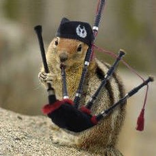 Логотип телеграм канала @duchivolynku — Волынка моей души🐂🚶‍♂️🧎