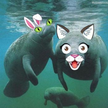 Telegram channel Dugonghi cialtroni nonsense logo