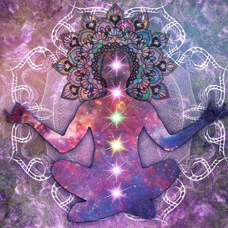 Telegram channel 🌱💜🌱💜 Naturheilkunde für Mensch & Tier🌱🌳 logo