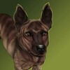 Логотип телеграм канала @duke_6785 — Duke