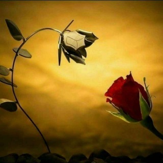 Telegram kanalining logotibi dunnyaamsen_01 — Yuragimdagi_dardlarim😔🥀🍂