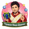 Логотип телеграм канала @durovrightegg — Правое яйцо дурова