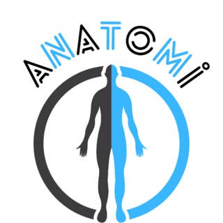 Logo saluran telegram dusakademisi_anatomi — DUSakademisi Anatomi