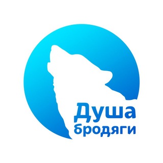 Логотип телеграм канала @dusha_brodiagi — Приют «Душа Бродяги»