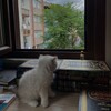 Логотип телеграм канала @dushevno_46 — 𝙳𝚞𝚜𝚑𝚎𝚟𝚗𝚘46 🌿