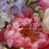 Логотип телеграм канала @dushevnoprovse1 — DUSHEVNO PRO всё