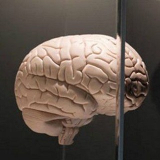 Логотип телеграм канала @dushevnovdushe — 👀Познавательно🧠