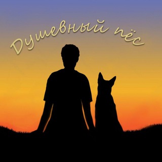 Логотип телеграм канала @dushevnyipes — Душевный пëс (Воспитание, дрессировка, натуральное лакомство для тренировок и передержка собак)