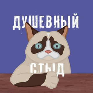 Логотип телеграм канала @dushevnystid — Душевный Стыд