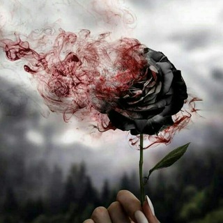 Telgraf kanalının logosu dusuncerengi — Düşünce Rengi🍁