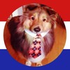 Логотип телеграм канала @dutchtrans — голландский штурвал