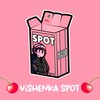 Логотип телеграм канала @dv1shenka — 🍒 VISHENKA SPOT🍒