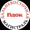 Логотип телеграм канала @dvm_dv — Газета «Дальневосточная магистраль»
