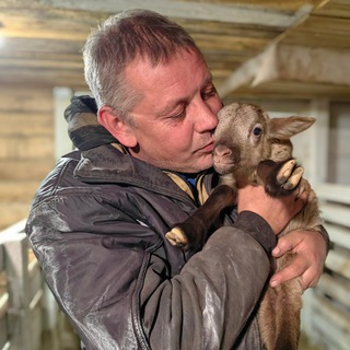 Логотип телеграм канала @dvor_los — Мое Подворье