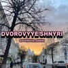 Логотип телеграм канала @dvorovie_shniri — Дворовые шныри