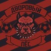 Логотип телеграм канала @dvorovypes — ФК «Дворовый Пес»