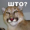 Логотип телеграм канала @dwarwenwine — DwarwenWine - Игры, прохождения, летсплеи