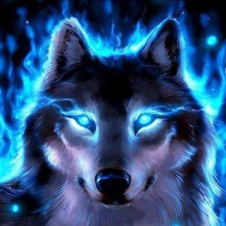 Логотип телеграм канала @dyhvolka — Дух Волка-_-