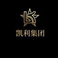 电报频道的标志 dyj666666 — 凯利集团-支付频道