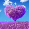 Логотип телеграм канала @dyshakoyh — Духовный мир