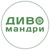 Логотип телеграм -каналу dyvo_mandry — ДИВОмандри