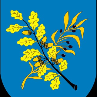 Логотип телеграм канала @dz_by_info — 🇧🇾Дзержинск (info)