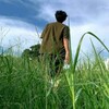 电报频道的标志 dzailhmre — AI量化的搭建