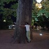 Логотип телеграм канала @dzengracha — Моя философия или грачи не птицы