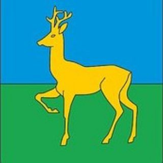Логотип телеграм канала @dzeradmin — Администрация Дзержинского района Красноярского края