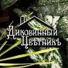 Логотип телеграм канала @dzvetnik — Диковинный цвѣтникъ