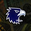 شعار قناة تلجرام eagleopti — Eagle Options