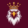 شعار قناة تلجرام eagles_of_gold — EAGLES OF GOLD 🦅🥇