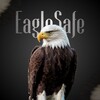 Логотип телеграм канала @eaglesafe_vpn — EagleSafe VPN