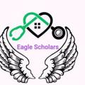 Logo saluran telegram eaglescholars — Eagle Scholars