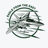 Логотип телеграм -каналу eagletfromeast — Eagle From The East