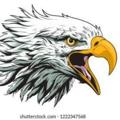 Logo del canale telegramma eagletosssline - 𝐄𝐀𝐆𝐋𝐄 𝐓𝐎𝐒𝐒 𝐋𝐈𝐍𝐄 ⚡