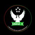 Logo saluran telegram eaglexfx — FREE MENTORSHIP