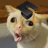 Логотип телеграм канала @eanglishmems — Мемы для даунов