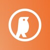 Логотип телеграм канала @early_bird_channel — early bird