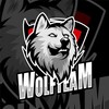 टेलीग्राम चैनल का लोगो earnwithwolfteam — WOLF TEAM EARNING